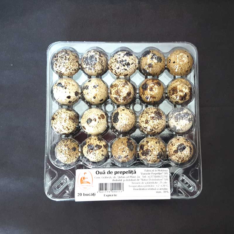 Ouă de prepeliță – 20 bucăți