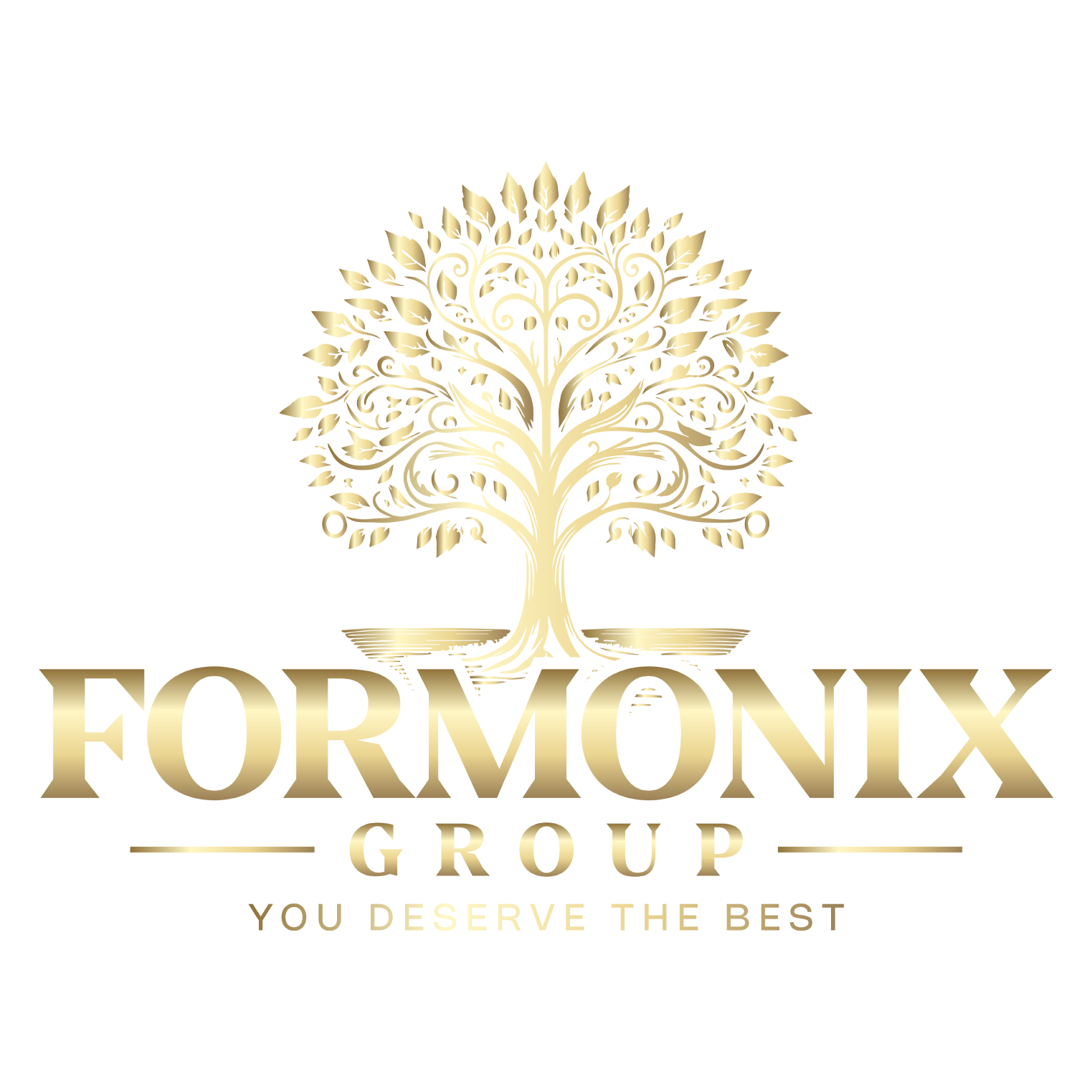 Formonix Group